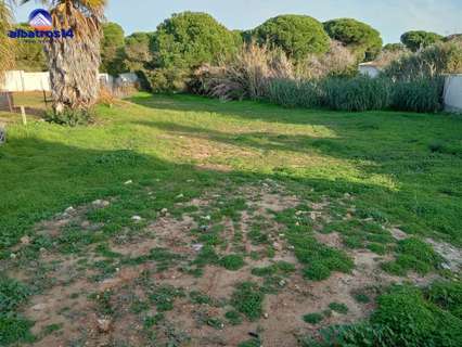 Parcela rústica en venta en Cartaya rebajada