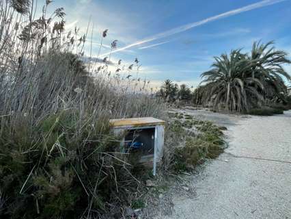 Parcela rústica en venta en Elche/Elx