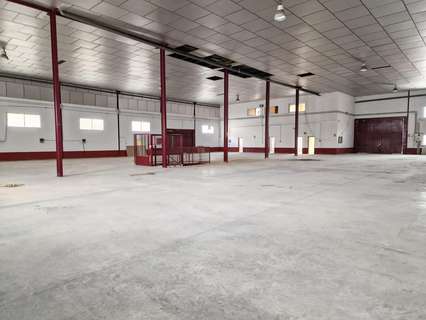 Nave industrial en venta en Aspe