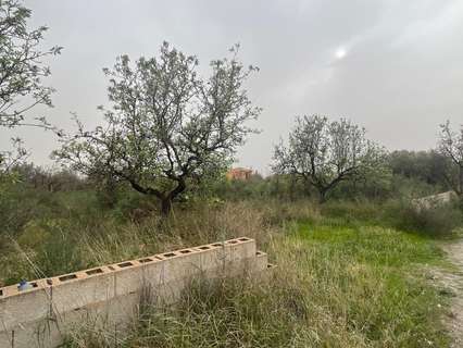 Parcela rústica en venta en Elche/Elx zona Matola