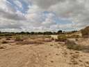 Parcela rústica en venta en Elche/Elx