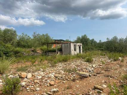 Parcela rústica en venta en Freginals rebajada