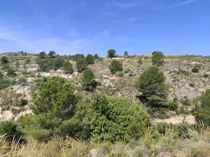 Parcela rústica en venta en Mula