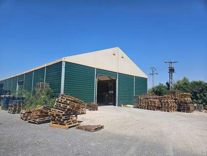 Nave industrial en venta en Abarán