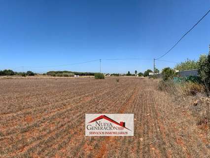 Parcela rústica en venta en Conil de la Frontera