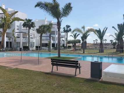 Planta baja en venta en Torre-Pacheco