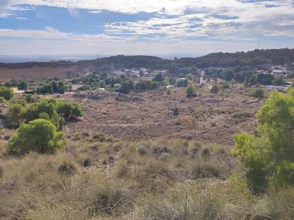 Parcela rústica en venta en Crevillent