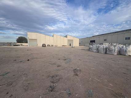 Nave industrial en venta en Callosa de Segura