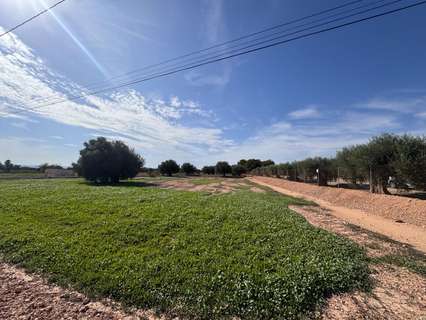 Parcela rústica en venta en Crevillent