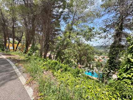 Parcela rústica en venta en Carcaixent rebajada