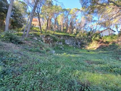 Parcela rústica en venta en Alzira rebajada