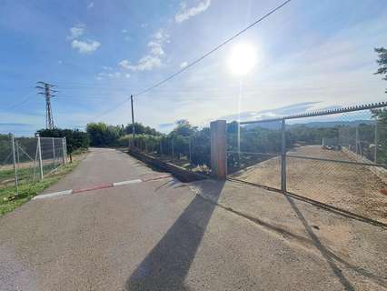 Parcela rústica en venta en Alzira