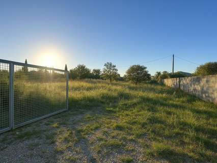 Parcela rústica en venta en Carcaixent