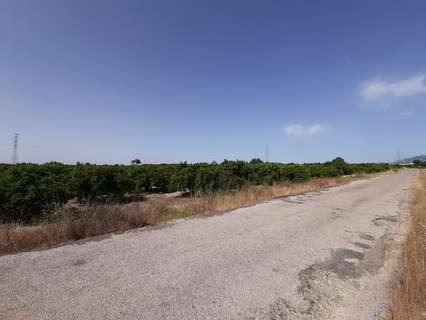 Parcela rústica en venta en Alzira