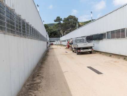 Parcela rústica en venta en Mataró