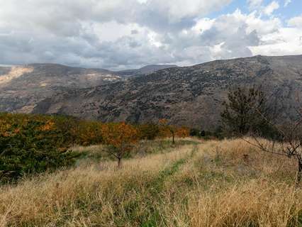 Parcela rústica en venta en Güejar Sierra