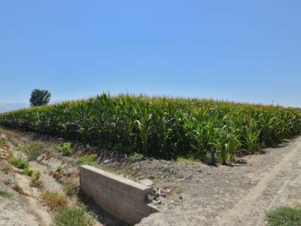 Casa rústica en venta en Vegas del Genil zona Belicena