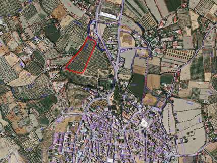 Parcela rústica en venta en Otura