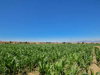 Parcela rústica en venta en Cúllar Vega
