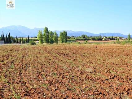 Parcela rústica en venta en Llubí