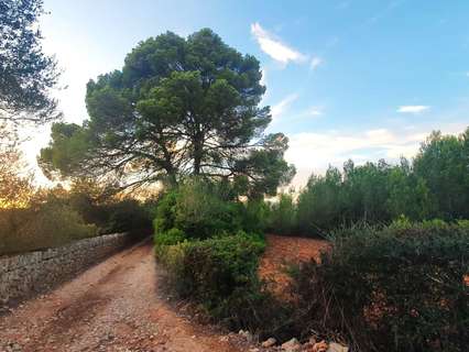 Parcela rústica en venta en Santa María del Camí