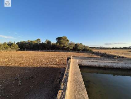 Casa rústica en venta en Muro rebajada