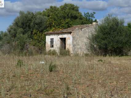 Parcela rústica en venta en Binissalem