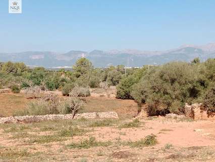 Casa rústica en venta en Sineu