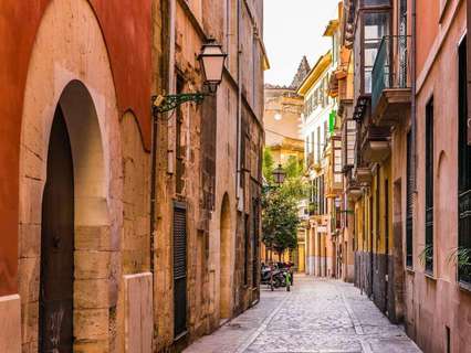 Local comercial en venta en Palma de Mallorca