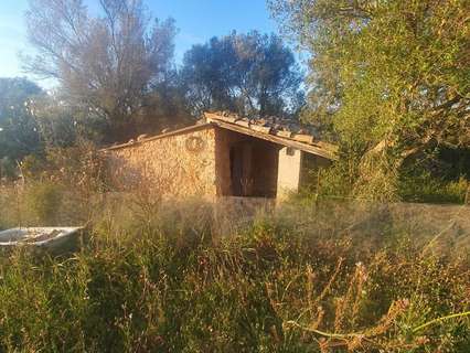 Parcela rústica en venta en Llubí