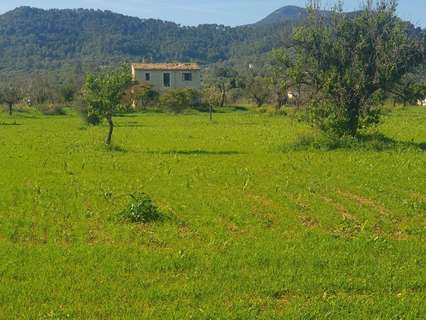 Parcela rústica en venta en Binissalem