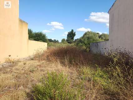 Parcela rústica en venta en Santa Margalida
