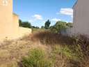 Parcela rústica en venta en Santa Margalida