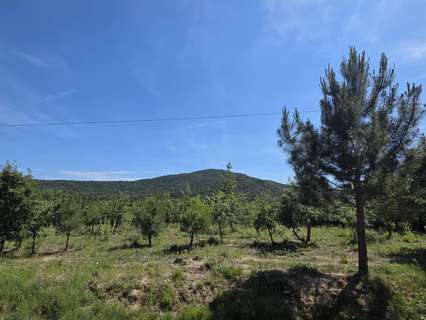 Parcela rústica en venta en Tordera