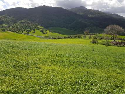 Parcela rústica en venta en Zahara