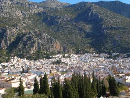 Parcela rústica en venta en Ubrique