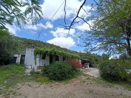 Parcela rústica en venta en Prado del Rey