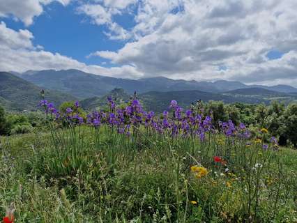 Parcela rústica en venta en Benaocaz