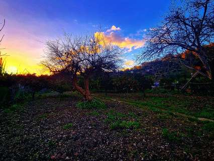 Parcela rústica en venta en Benaocaz