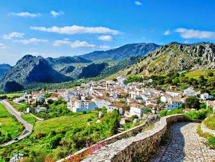 Parcela rústica en venta en Benaocaz