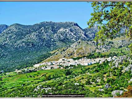 Parcela rústica en venta en Benaocaz