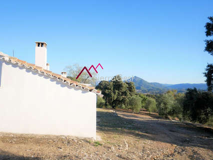 Parcela rústica en venta en El Bosque