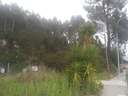 Parcela en venta en Ames