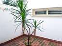 Piso en venta en Cádiz