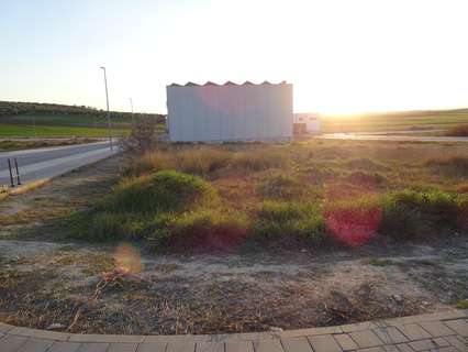 Parcela industrial en venta en Marchena