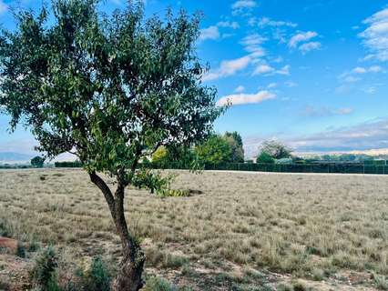 Parcela rústica en venta en Villena