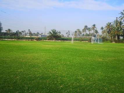 Parcela rústica en venta en Elche/Elx