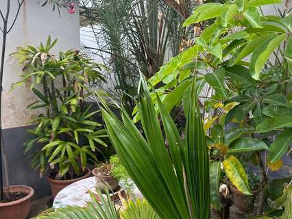 Casa en venta en San Juan de la Rambla