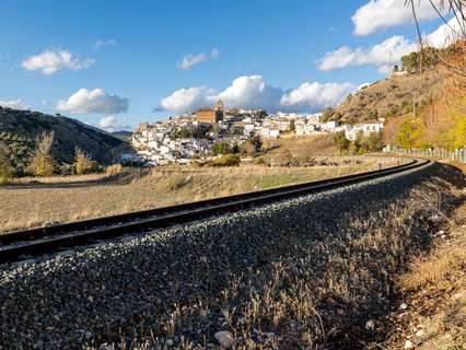 Parcela urbana en venta en Iznalloz