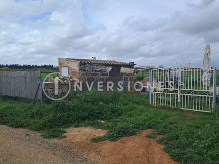 Parcela rústica en venta en Muro